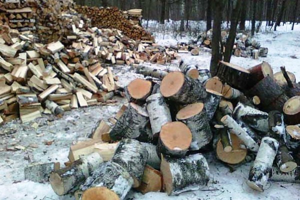 Каким образом граждане могут заготавливать древесину для собственных нужд?