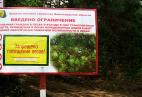 В каких случаях вводится ограничение пребывания граждан в лесах? Установлена ли ответственность за нарушение такого требования?