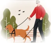 В России впервые появится ГОСТ для собак-поводырей